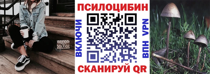 закладки Торопец дарк нет состав Псилоцибиновые грибы Cubensis